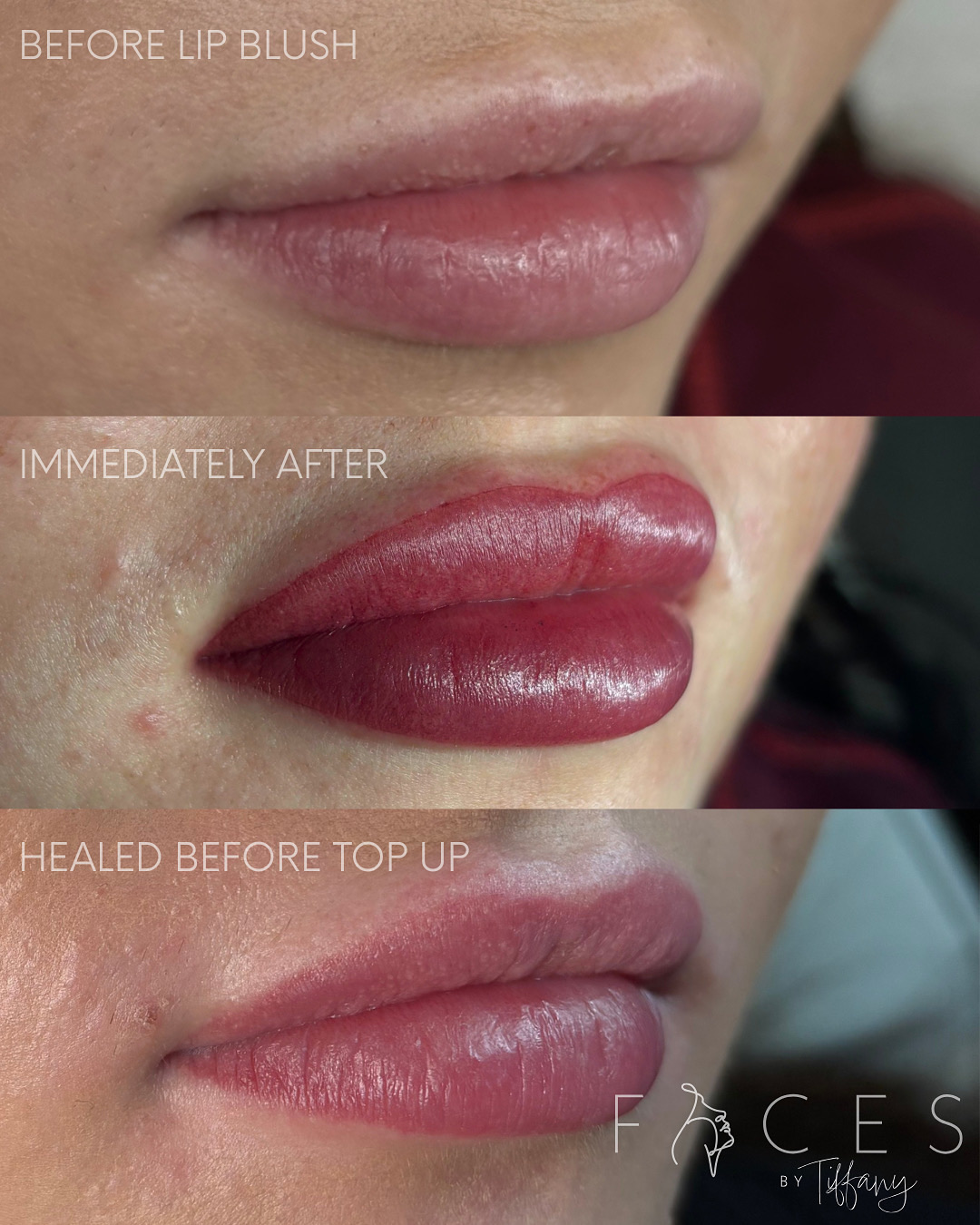 Lip blush healing progression showing before, immediately after, and healed before top up